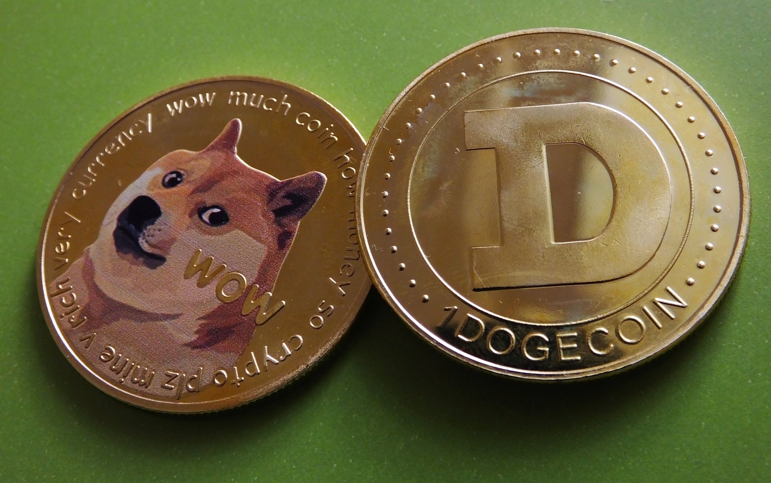 What is Dogecoin and Why is it So Popular?